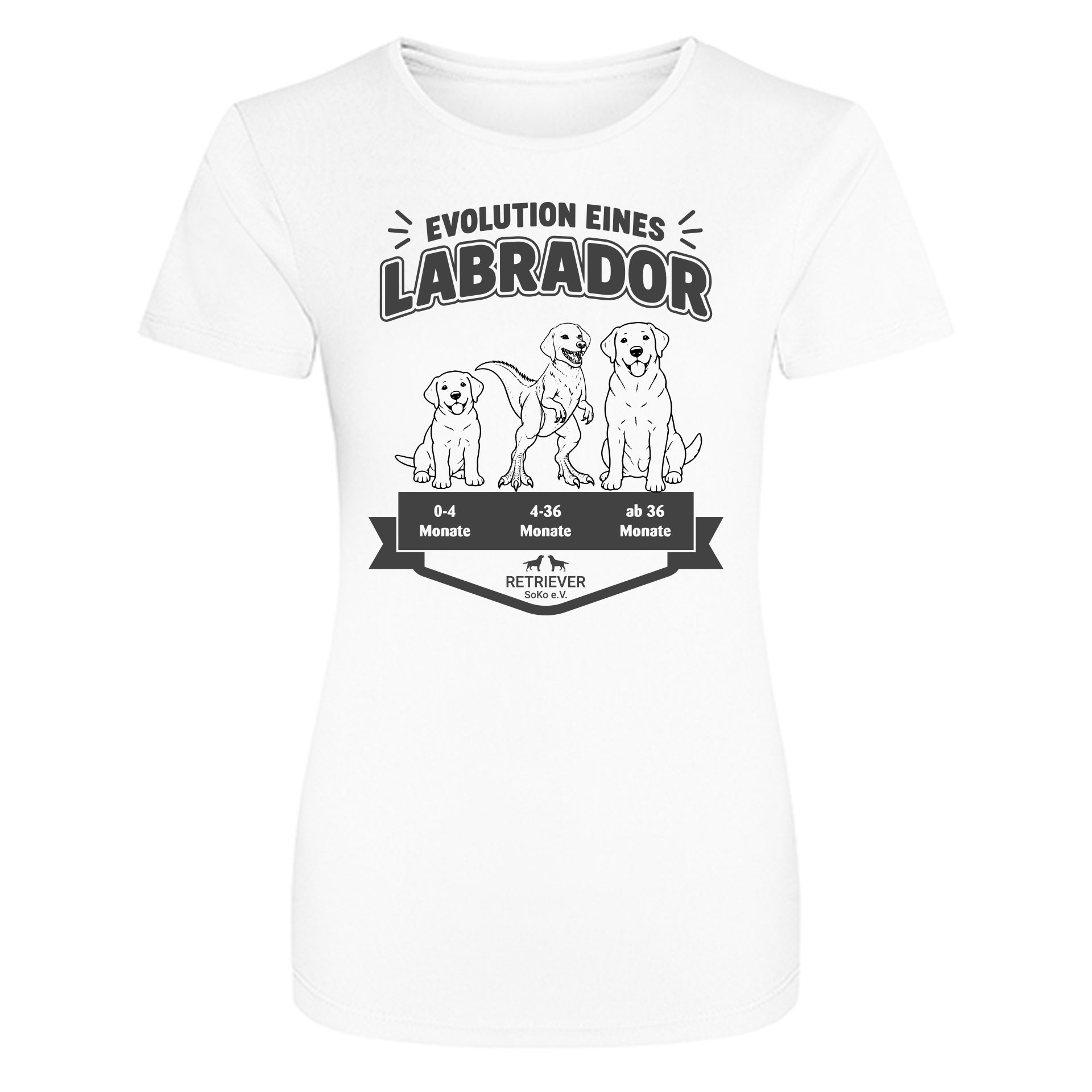 Evolution eines Retrievers – T-Shirt für Labrador- & Golden-Retriever-Fans