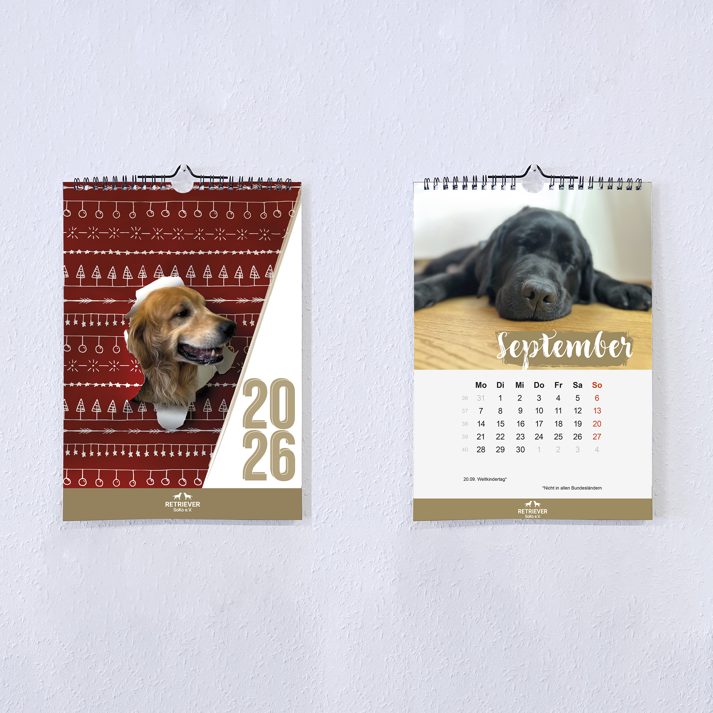 Foto-Wandkalender "Retriever Soko" 2026 (DIN A4)