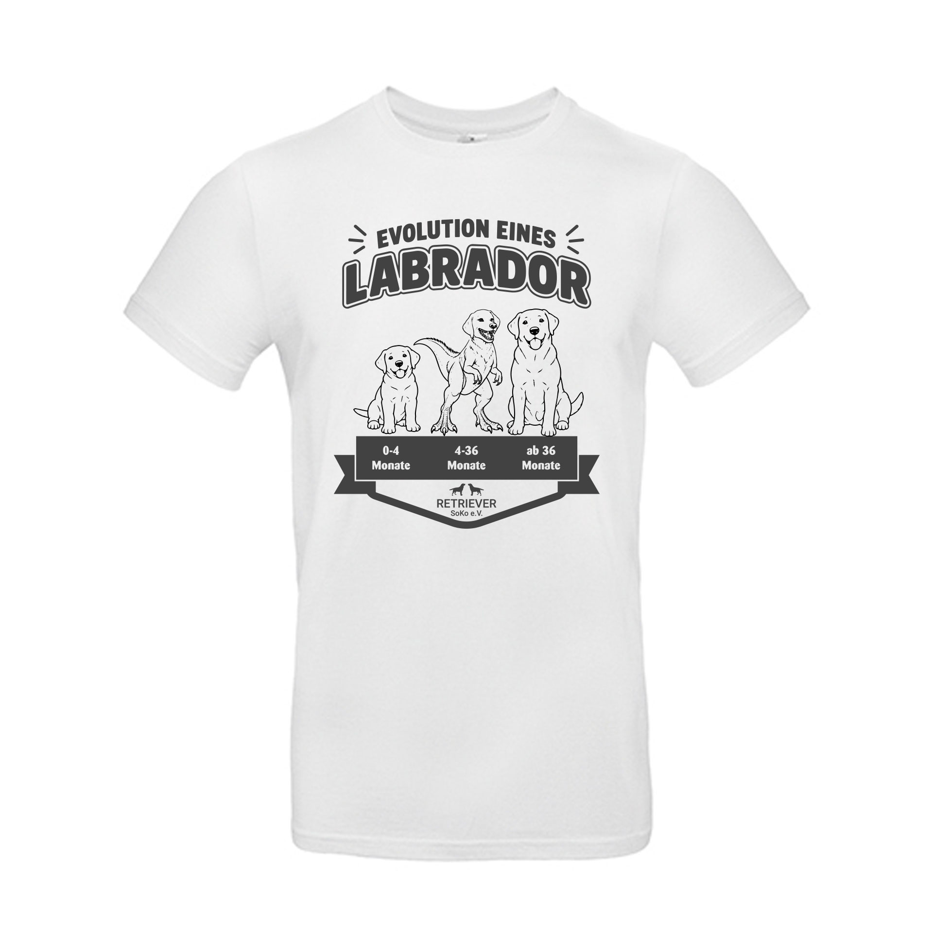 Evolution eines Retrievers – T-Shirt für Labrador- & Golden-Retriever-Fans