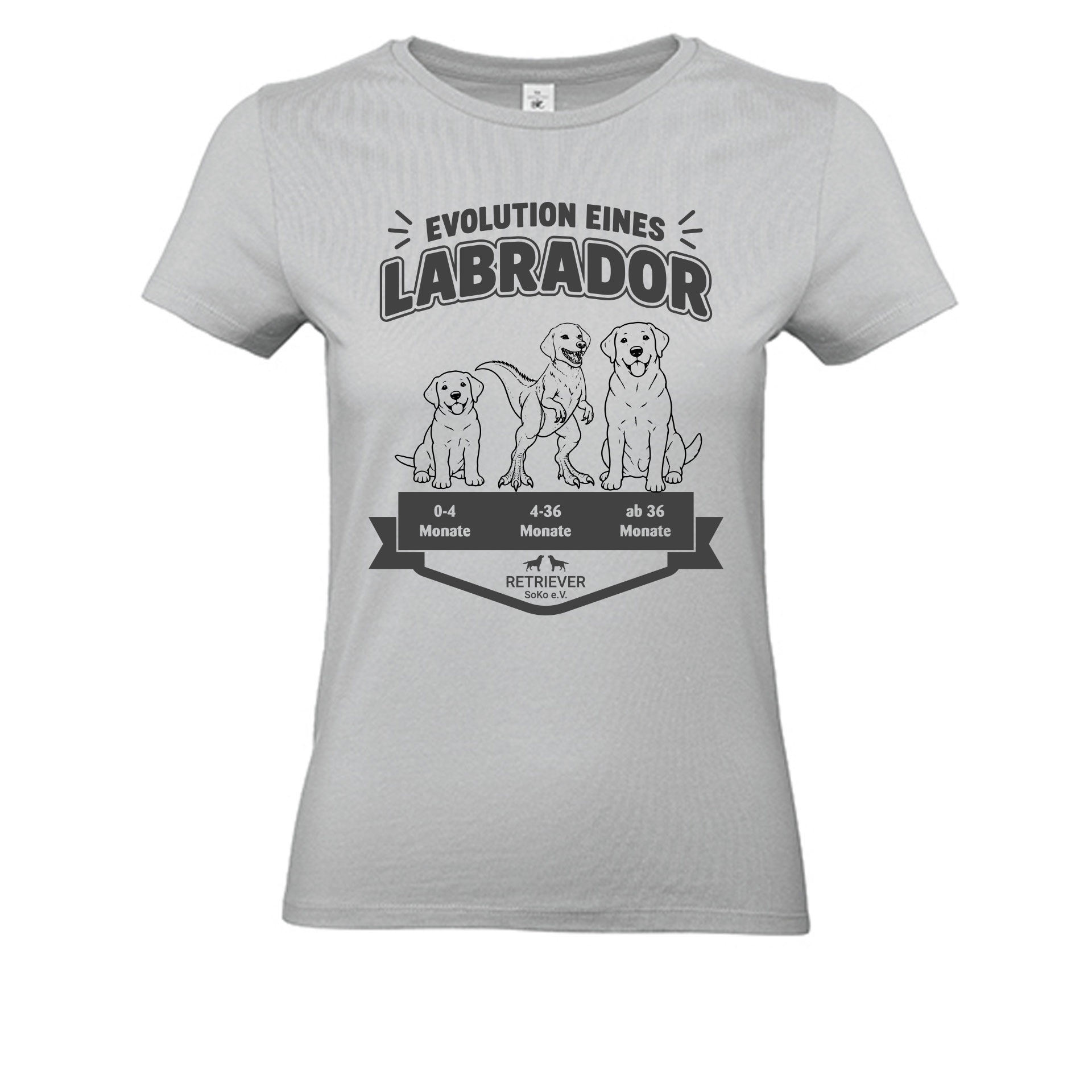 Evolution eines Retrievers – T-Shirt für Labrador- & Golden-Retriever-Fans