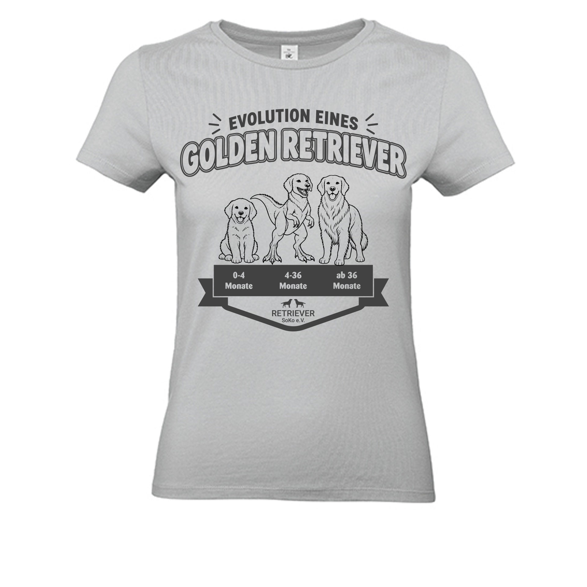 Evolution eines Retrievers – T-Shirt für Labrador- & Golden-Retriever-Fans