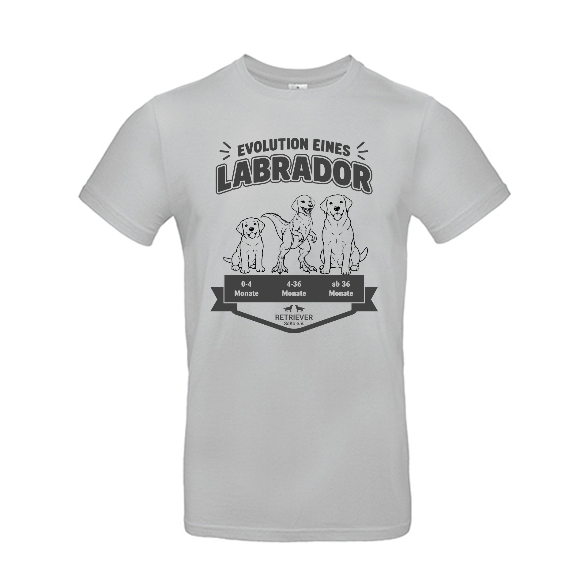Evolution eines Retrievers – T-Shirt für Labrador- & Golden-Retriever-Fans