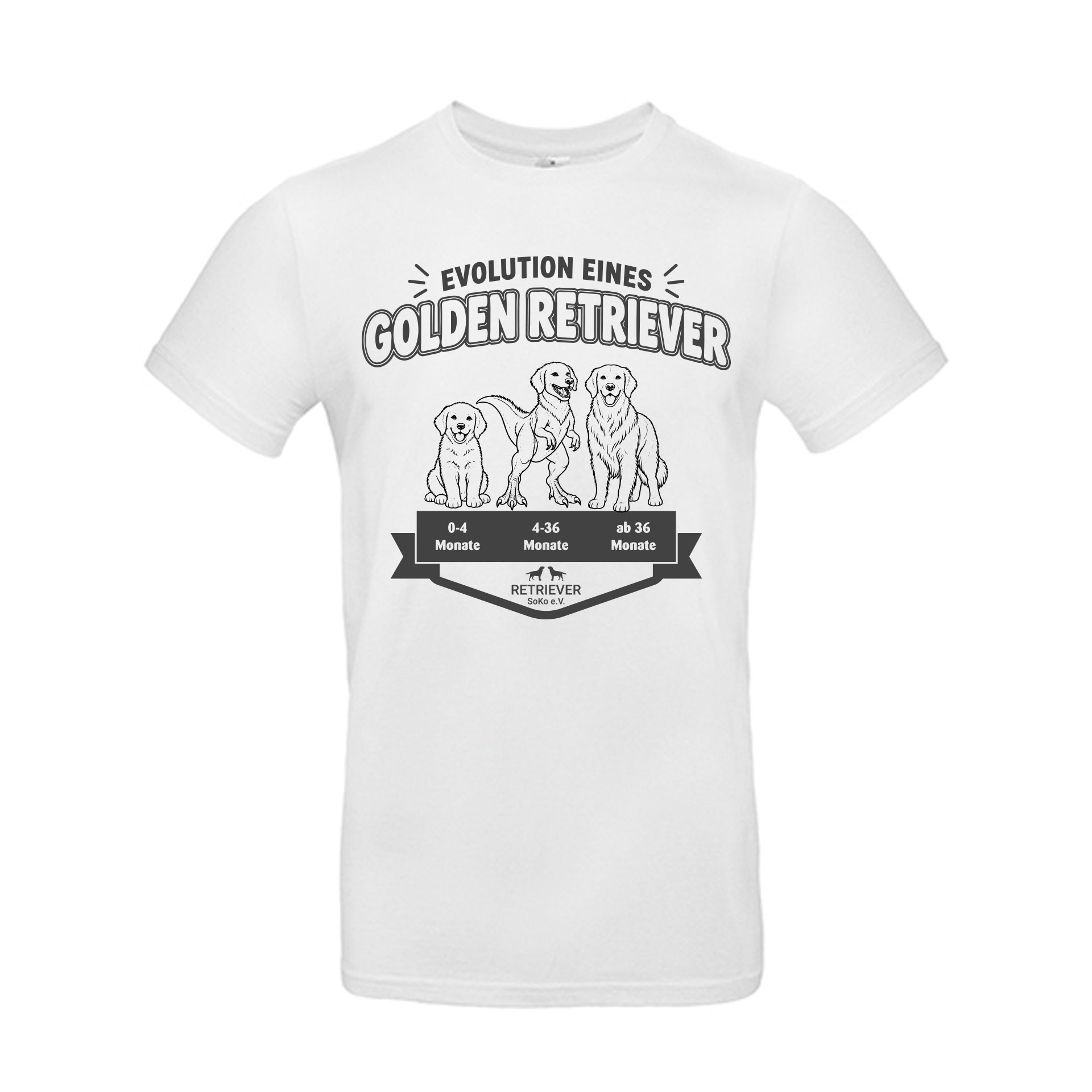 Evolution eines Retrievers – T-Shirt für Labrador- & Golden-Retriever-Fans